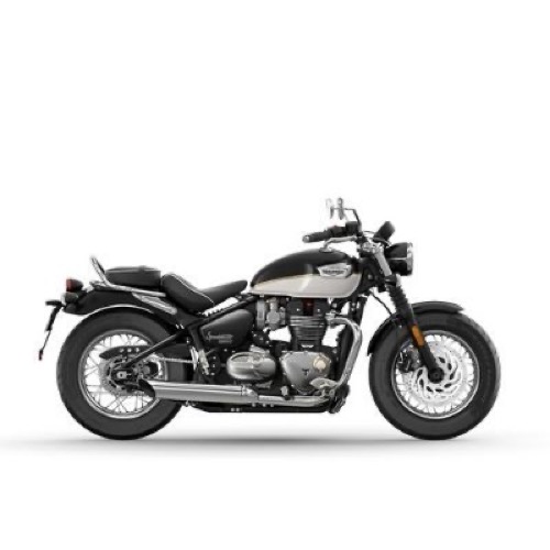 Cruiser