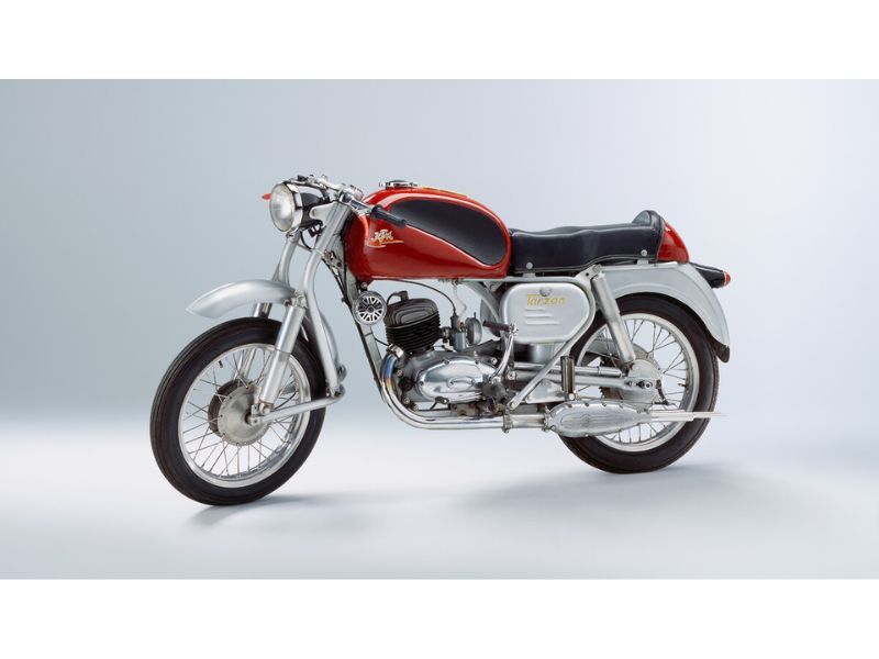 ktm tarzan