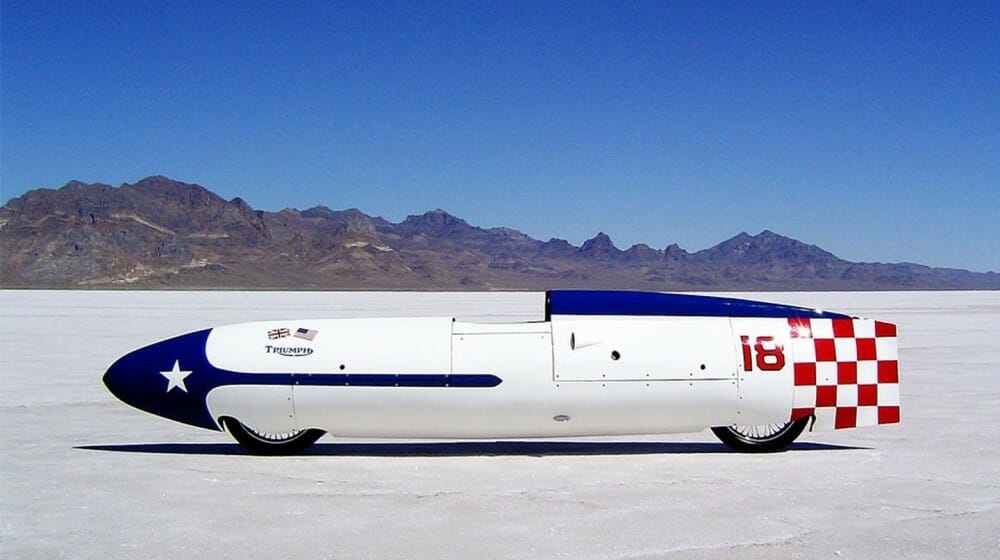 the texas ceegar